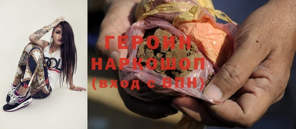 крисы Бородино