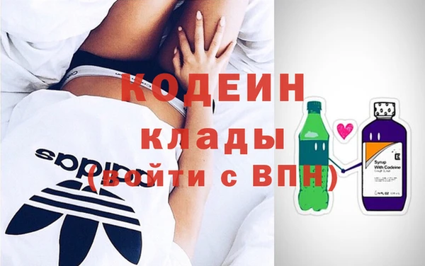 крисы Бородино