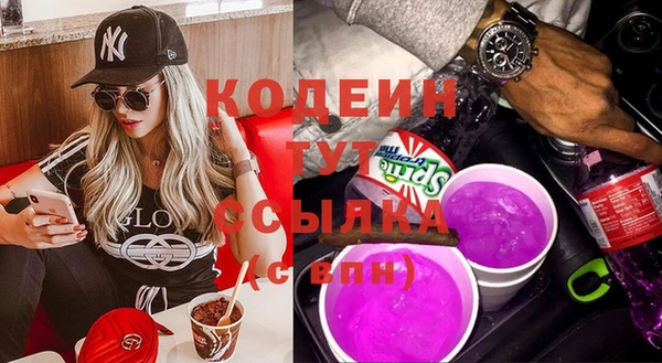 крисы Бородино
