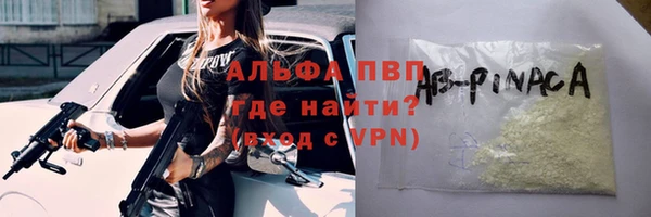 крисы Бородино