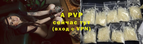 альфа пвп Снежногорск