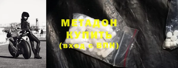 крисы Бородино