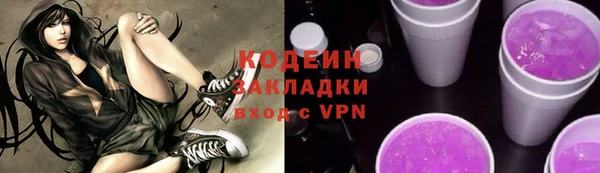 крисы Бородино