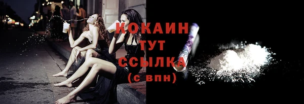 крисы Бородино