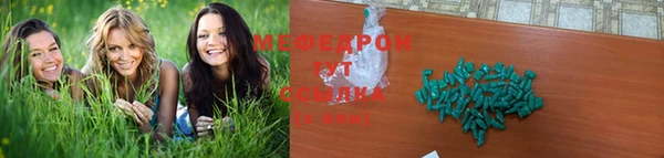 крисы Бородино