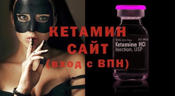 крисы Бородино