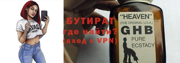 крисы Бородино