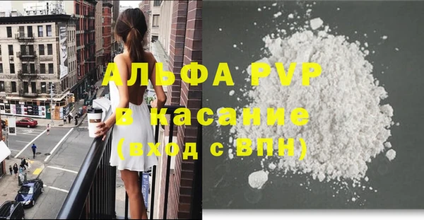 крисы Бородино