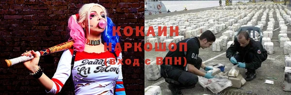 крисы Бородино