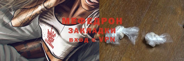крисы Бородино