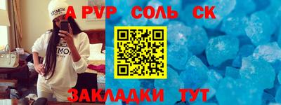 шишки Новозыбков
