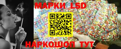 шишки Новозыбков