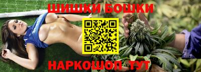 шишки Новозыбков