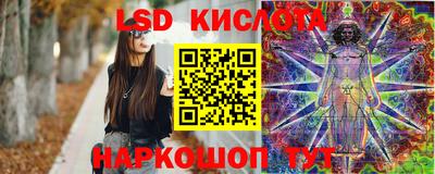 альфа пвп Новодвинск
