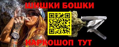 шишки Новозыбков