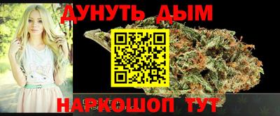 альфа пвп Новодвинск
