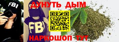 альфа пвп Новодвинск