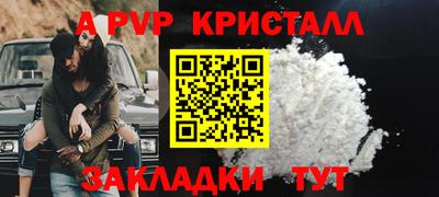 шишки Новозыбков