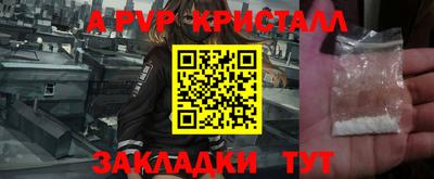 шишки Новозыбков