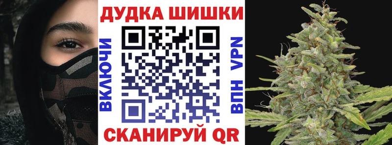 наркотики  mega ССЫЛКА  Бошки марихуана ГИДРОПОН  Северобайкальск 